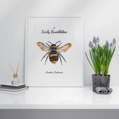 Bee Watercolour Prints