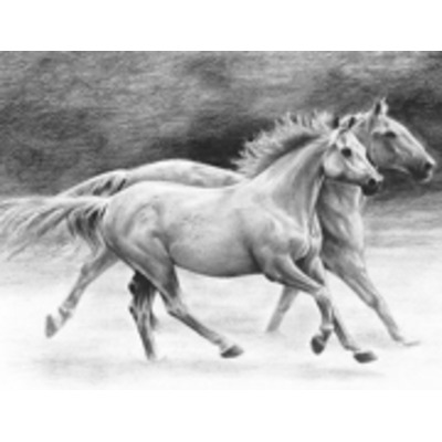 A4 Sketching Made Easy Drawing Kit - Running Horses Skbn20