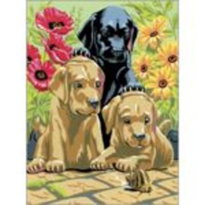 Painting By Numbers Kit - Labrador Puppies Age 8+