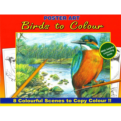 Adult Standard Advanced Colouring In Books – Nature To Colour - Birds To Colour