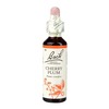 Image of Bach Flower Remedies Cherry Plum 20ml