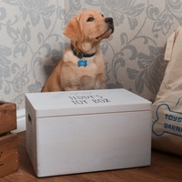 Wooden Storage Chest