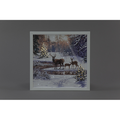 Battery Operated Fibre Optic Christmas Canvas with Deer Family (40x40cm)