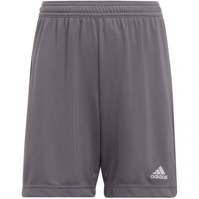 Adidas Junior Entrada 22 Shorts - Gray