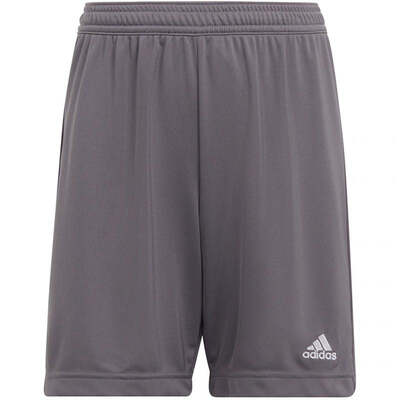 Adidas Junior Entrada 22 Shorts - Gray
