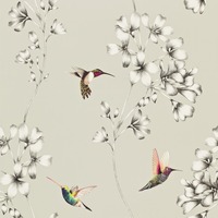 Image of Harlequin Amazilia Hummingbird Wallpaper Silver / White HAMA111062