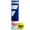 Image of Babolat Team Clay Tennis Balls - Tube Of 4