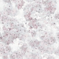 Apple Blossom Floral Wallpaper Rose Muriva 211501