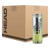 Head Pro Padel Balls - 6 Dozen at Sweatband.com
