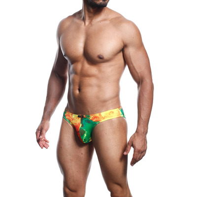 Image of Joe Snyder Shining Bikini 01 - Spectrum