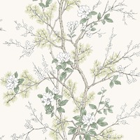 Bridget Floral Wallpaper Cream Belgravia 750