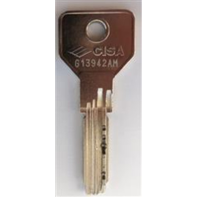 Cisa AM Series Key - CISA AM Keys