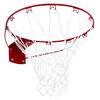 Image of Sure Shot Home Court Ring and Net Set