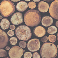 Image of Stacked Chopped Logs Wallpaper Windsor Wallcoverings 263212