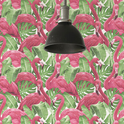 Global Fusion Flamingos Wallpaper Pink Galerie G56406