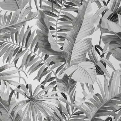 Maui Leaf Wallpaper Monochrome Fine Decor FD42852