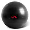 Image of UFC Anti-Burst Gym Ball