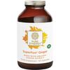 Image of The Synergy Company (Pure Synergy) SuperPure Ginger 60's