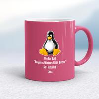 The Box Said Requires Windows 95 So I Installed Linux Mug – Pink/White, 10oz