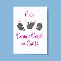 Cats, Because People Are Cunts Greeting Card – White, A5