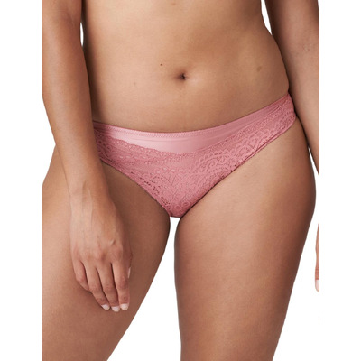 Prima Donna Twist I Do Rio Brief - Sunset Melba