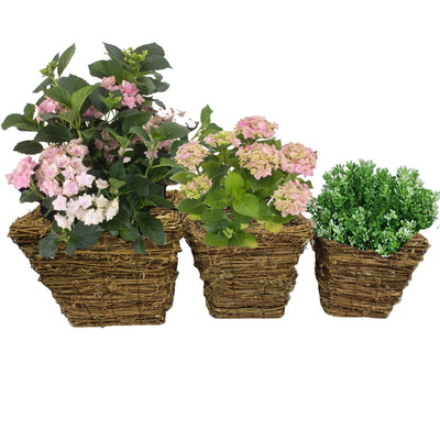 Set of Three Assorted Wicker Basket Flower Pots Planters