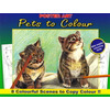 Hamster Animals To Colour Book - 1015