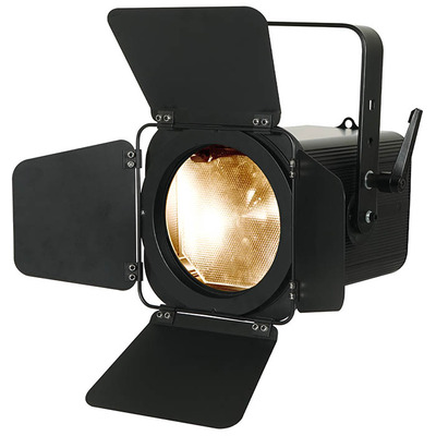 Artisan LED Fresnel 1000 WW