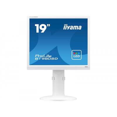 iiyama 19" B1980D-W1 Monitor