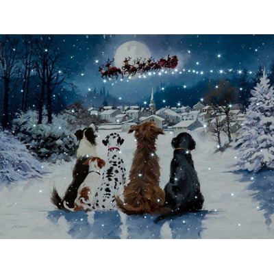 Fibre Optic Christmas Dogs Canvas by Richard Macneil 40cm x 30cm