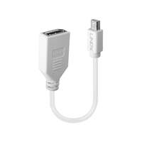 Image of Lindy 0.20m Mini DisplayPort to DisplayPort Adapter Cable