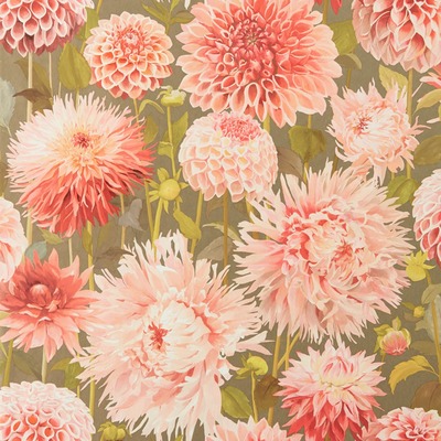 Harlequin Dahlia Wallpaper Coral / Fig Leaf / Gilver HQN2112845
