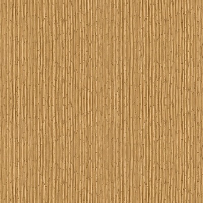 Into The Wild Bamboo Wallpaper Yellow Galerie 18573
