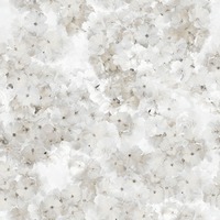 Apple Blossom Floral Wallpaper Natural Muriva 211502