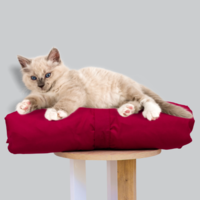 Cat Bed Mattress & Burgundy Cover - Cat Bedding Set