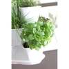 Coubi Herb Planter from Gardening Naturally