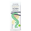 Clearspring Organic Japanese 100% Buckwheat Soba 250g