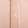Image of 10cm Brass House Letter - A