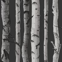 Image of Birch Trees Wallpaper Black and Silver Fine Decor FD31052