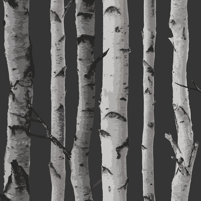 Birch Trees Wallpaper Black and Silver Fine Decor FD31052
