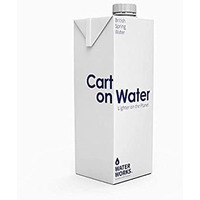 Image of Water Works - Still Spring Water For The Planet-Carton With Sugar Can Cap 330ml