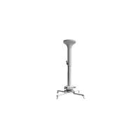 Peerless PRG3-EXB-W Ceiling White project mount