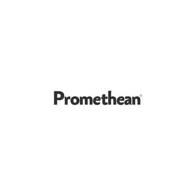 Promethean 100 Nibs for ActivPen 4