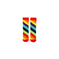 Image of Squelch Wellies Minis Socks - Diagonal Rainbow