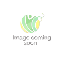 Image of Biona Organic Vegan Spring Rolls (220g)