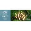 Noma Christmas 40, 80, 120, 160, 240 LED Noma Antique White Classic LED Lights with Green Cable, 120 Bulbs