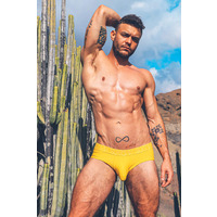Sukrew Chroma Apex Brief