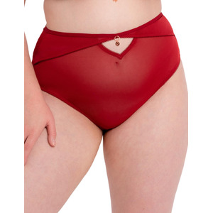 scantilly by curvy kate unchained high waist brief