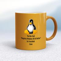 The Box Said Requires Windows 95 So I Installed Linux Mug – Gold, 10oz