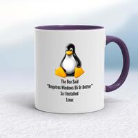 The Box Said Requires Windows 95 So I Installed Linux Mug – White/Purple, 10oz